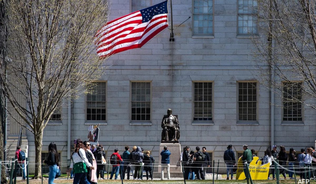 6 condições, 72 horas: o que Harvard deve fazer para manter estudantes estrangeiros