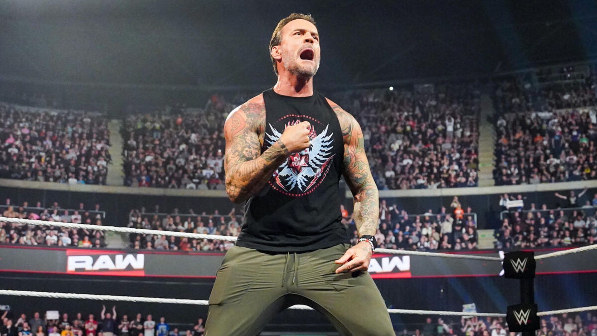 “Ele já é um salto” – o veterano da WWE faz reivindicações explosivas sobre o cm punk (especial)