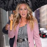 O ato chocante de Britney Spears em um avião particular causa pânico porque as autoridades interferem