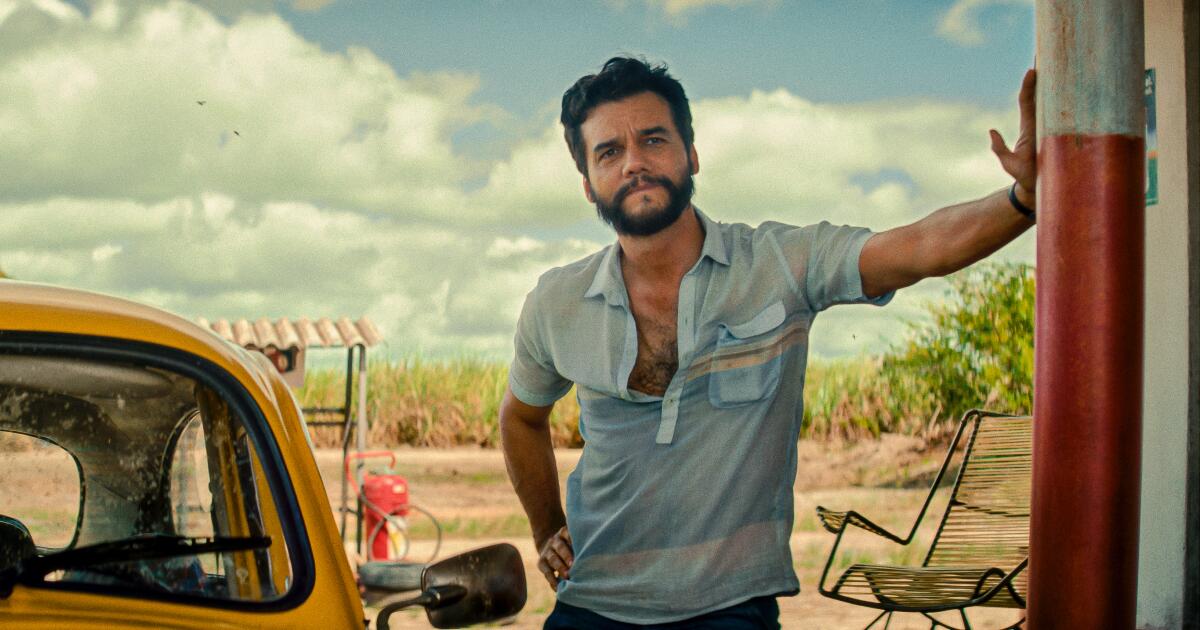 Os 10 melhores filmes que vimos no Festival de Cinema de Cannes 2025