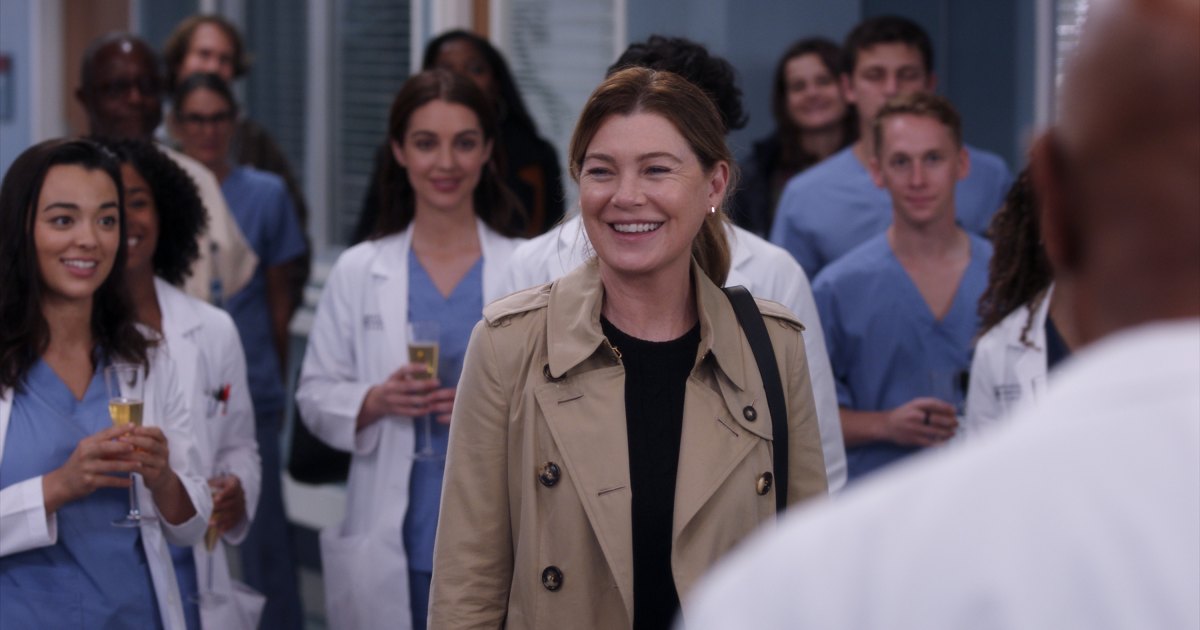 Quais são as estrelas de ‘Anatomy of Grey’, e não, retornando para a 22ª temporada?