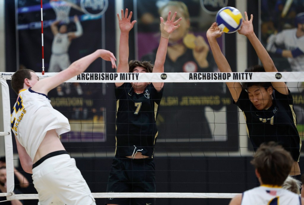 Roundup Norcal Volleyball: Não. 5 Oakland Moves Top -Notch Metch Ben Holt, de Stockton, Mitty aguarda um adversário de divisão e