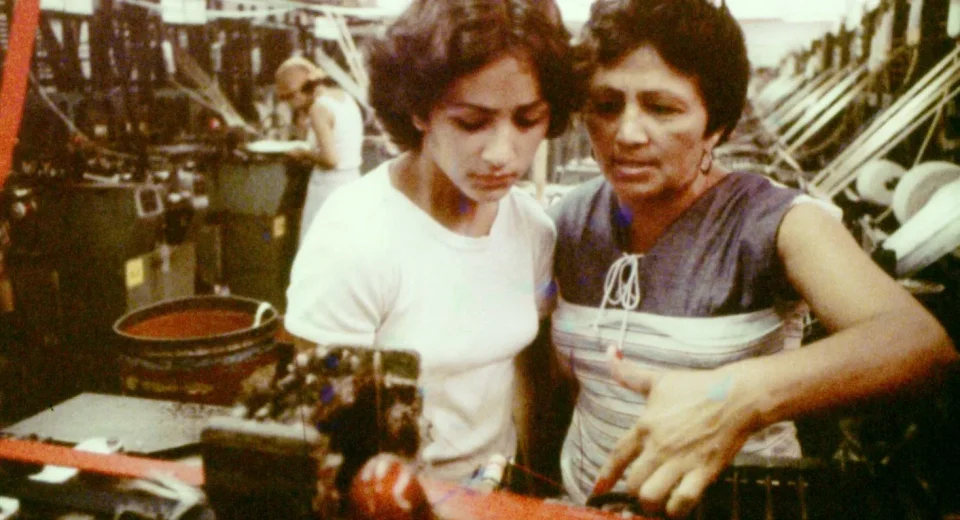 14ª Mostra Ecofalante de Cinema reúne 125 filmes de 33 países com entrada franca em São Paulo
