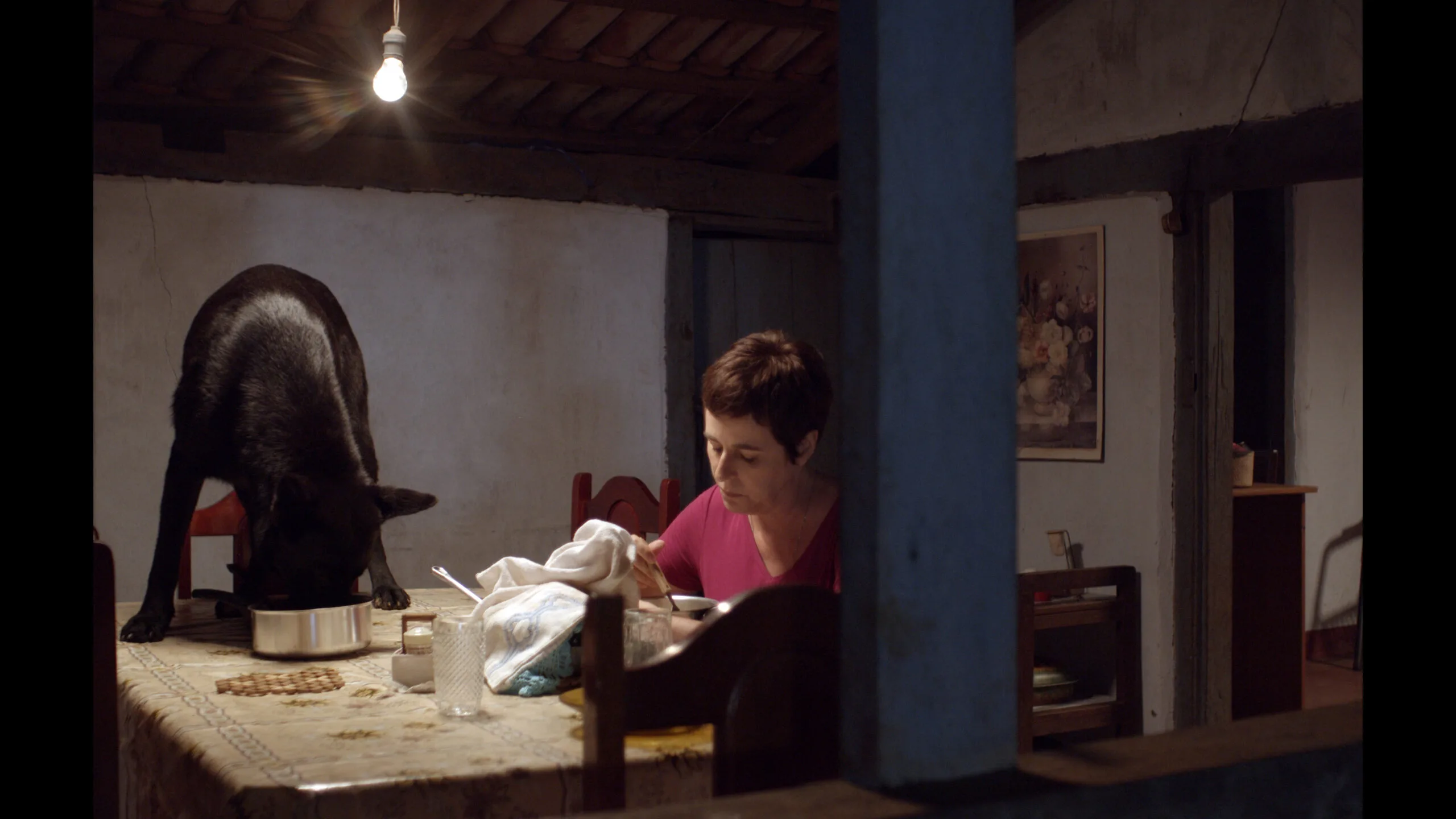 Nos cinemas: Confira os filmes que entram em cartaz nesta quinta (31)
