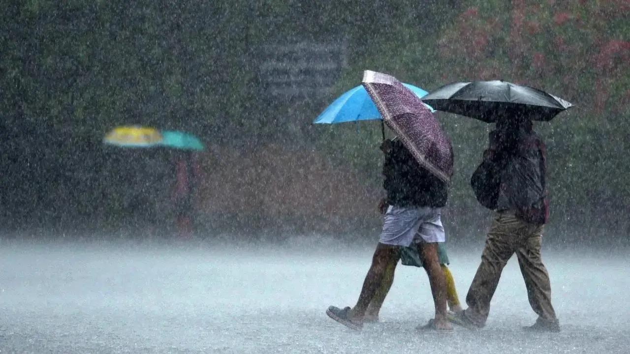 `Sério a uma grave chuva vigorosa para Pepa, Harda e Chandigarh